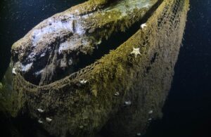 Denizlere bir yılda düşürülen balık ağları dünyanın etrafını 18 kez sarabilir
