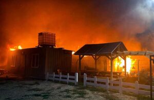 Çiftlikte yangın faciası! 10 küçükbaş öldü, 10 ton buğday yandı