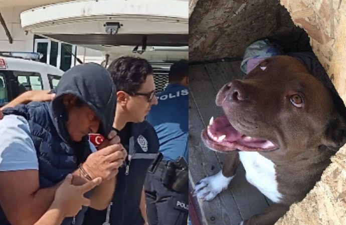 Köpek Şila’yı yakarak katleden zanlı tutuklandı