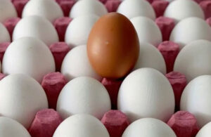 AKP vatandaşı yumurtaya da hasret bıraktı! 30’lu koli fiyatı 76 liraya yükseldi