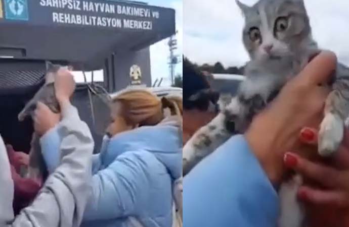 Konya’da hayvan barınağında bir skandal daha! Poşete doldurulan kedileri hayvanseverler kurtardı