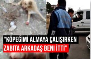 AKP’li belediyenin aracından korkunç görüntüler! “Kan revan içinde 2 ölmüş hayvan vardı”