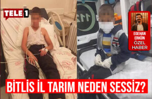 Bitlis’te kuduz tartışması! Ailenin suçladığı AKP’li belediye topu Tarım Müdürlüğüne attı