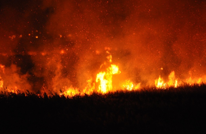 Uluslararası koruma altında bulunan Göksu Deltası’nda yangın