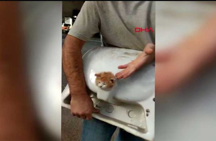 Lavabo deliğine sıkışan kediyi inşaat işçileri kurtardı