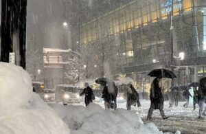 Japonya’da ‘kar’ 14 can aldı