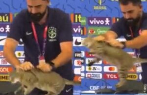 Kediyi yere fırlatmıştı! Brezilya Futbol Federasyonuna dava…