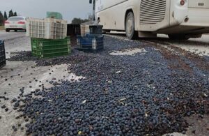 İşçi servisi ile kamyonet çarpıştı, 1,5 ton zeytin yola saçıldı