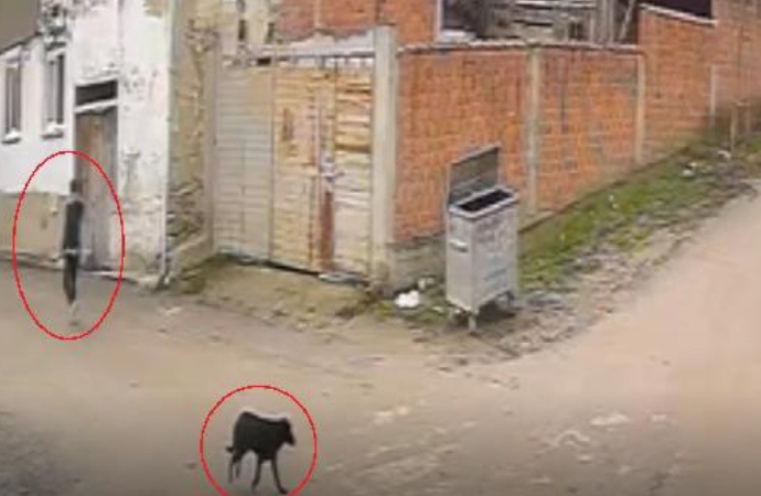 Kovaladığı köpeği katleden caninin yanından geçen köpeği de vurduğu ortaya çıktı
