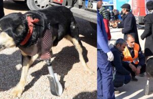 Enkaz altında bir patisini kaybeden köpeğe protez takıldı