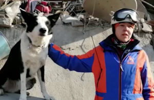 Kırgız kurtarma köpeği Torin 2 depremzedenin yaşamını kurtardı