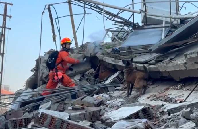 Arama kurtarma köpekleri ayaklarında bandajlarla deprem bölgesinde hayat kurtarıyor