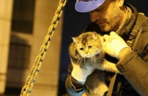 Hasarlı binanın yıkımı durduruldu, Zena isimli kedi kurtarıldı