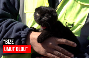 178 saat sonra enkazdan çıkardıkları yavru kediye “Umut” ismini verdiler