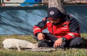 Arama kurtarma personelinin kediyle yemeğini paylaştığı anlar kamerada
