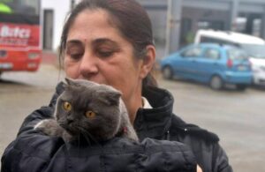 Depremde kaybolan kedilerine 27 gün sonra kavuştular