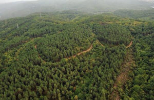 Orman alanlarında talan kanunu yürürlüğe girdi! İtirazlara rağmen madenciliğe açılıyor