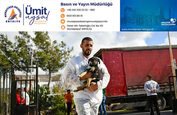 Enkazdan kurtarılan köpekler Muratpaşa’da tedavide
