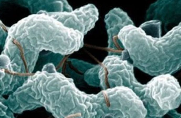 Koronavirüs sonrası dünyayı bekleyen yeni tehlike: Et yiyen mikroplar