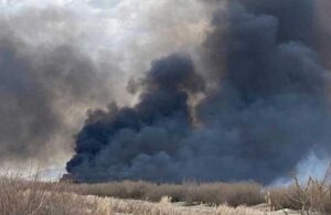 Milli parkta çıkan yangın 200 dönüm alanı kül etti