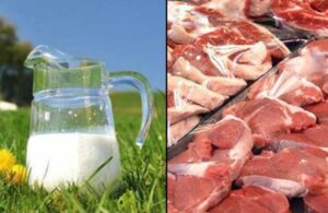 Süt üretimi düştü kırmızı et üretimi arttı akıllara TUSEDAD başkanının sözleri geldi
