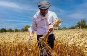 Sevgi ve emekle büyüyen buğday: Tarsus Belediyesi’nin bereketli hasadı