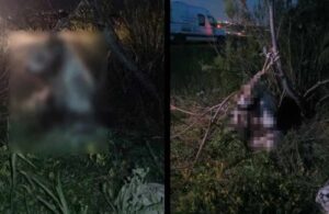 Caniler! Ankara’da 17 köpek ağaca asılmış halde bulundu