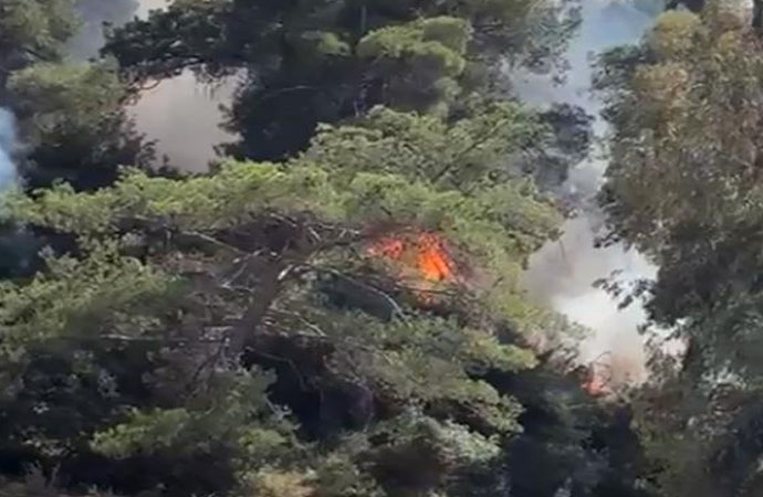 Antalya’daki orman yangını kontrol altına alındı!