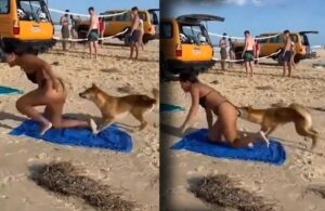 Güneşlenen kadının kalçasını köpek ısırdı!
