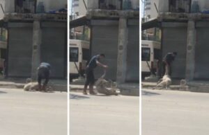 Hayvana sokak ortasında şiddet! Koyunu yerden yere vurup bayılttı
