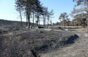 Çanakkale’de orman yangını! 2 bin 500 hektar alan zarar gördü