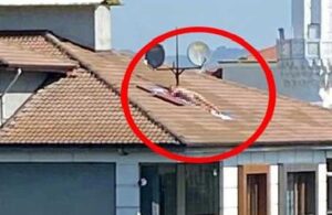 Çatıda çıplak erkek paniği! Polis sirenini duyunca kayıplara karıştı