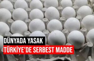 Bize neler yediriyorlar? Yumurtalar kanserojen diye Tayvan Türkiye’den tazminat istiyor