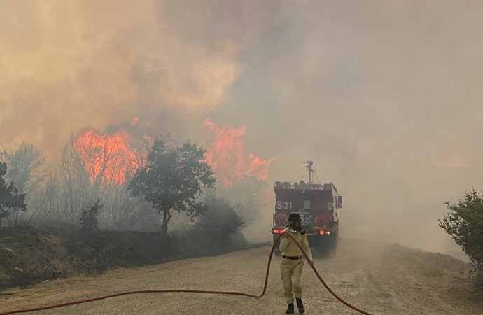Çanakkale’de orman yangını: Rüzgarın etkisiyle hızlıca büyüdü!