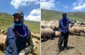 20 bin TL maaşa yerli bulamayınca İran’dan çoban getirdiler