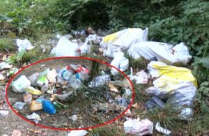 İstanbulluların uğrak noktası haline gelen Belgrad’da 3 günde 18 ton çöp toplandı