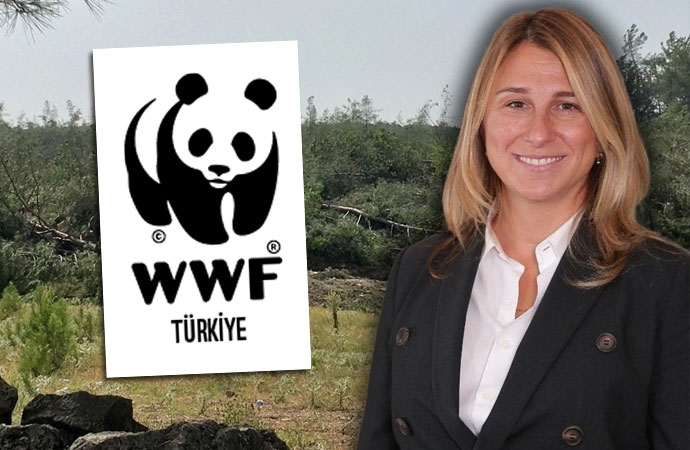 WWF-Türkiye günah çıkardı! Limak yöneticisi tepkilerin ardından üyelikten çıkarıldı