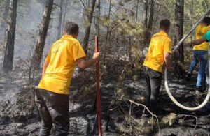 Kastamonu’da yıldırım orman yangınına neden oldu!