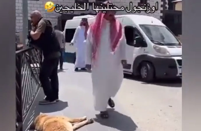 Uzungöl’de tepki çeken görüntüler! Arap turist köpeğin üzerine bastı, korkmuş gibi yapıp kahkaha attı