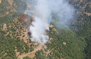 Manisa’da 3 günde ikinci orman yangını