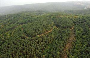 Ankara’da ormanlara giriş yasağı