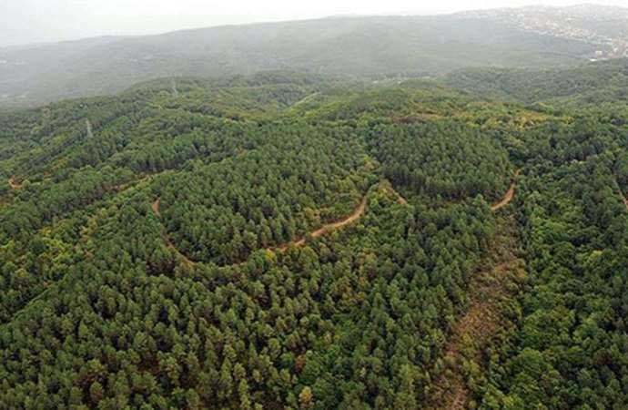 Ankara’da ormanlara giriş yasağı