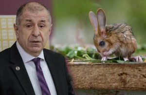 Ümit Özdağ’dan ‘Arap tavşanı’ yanıtı: O kalsın, sorun yok