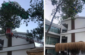 Deniz paraşütü yaparken otelin bahçesindeki ağaca uçtular