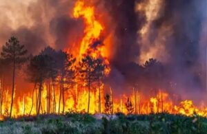 Kütahya’da çıkan orman yangınında ‘OEDAŞ ihmali’ iddiası! “Muhtarın uyarılarına rağmen ihmal edildi”