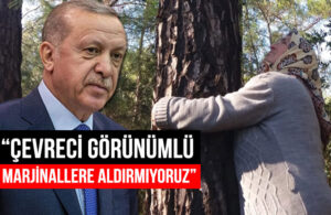 Erdoğan Akbelen’deki ağaç katliamını savundu!