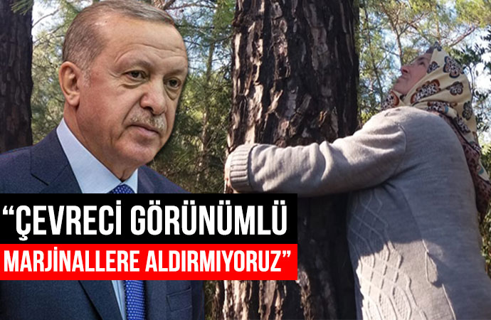 Erdoğan Akbelen’deki ağaç katliamını savundu!
