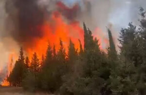 Çanakkale’de orman yangını: Müdahale sürüyor