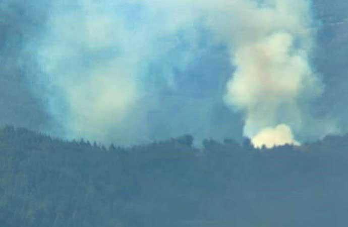 Adana’da orman yangını: Ekipler harekete geçti