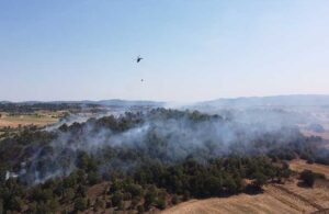 Bilecik’te orman yangını: Ekipler harekete geçti